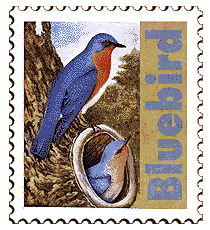 Copyright © 1998 WriteLine. All Rights Reserved. Bluebird stamp