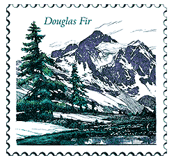 Copyright © 1998 WriteLine. All Rights Reserved. Douglas Fir