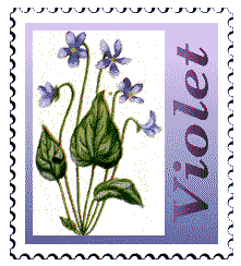 Copyright © 1997 WriteLine. All Rights Reserved. Wood Violet