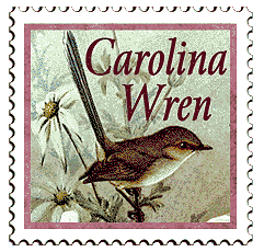 © 2000 WriteLine. Carolina Wren