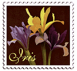 © 1999 WriteLine. Iris