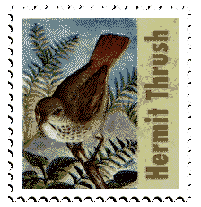 Copyright © 1997 WriteLine. All Rights Reserved. Hermit Thrush stamp