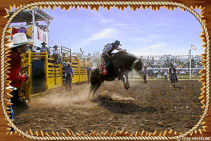 All images Copyright © 1997 - 2000 WriteLine. All Rights Reserved. Cowboy and Bull