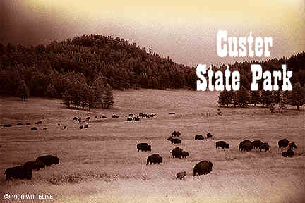 All images Copyright © 1997 - 2000 WriteLine. All Rights Reserved. Bison home on the range