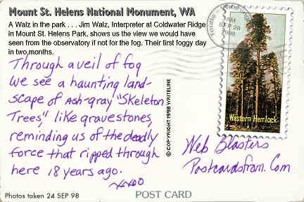 All images Copyright © 1997 - 2000 WriteLine. All Rights Reserved. Western Hemlock postage stamp