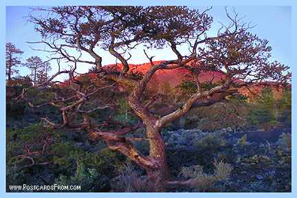 All images Copyright © 1997 - 2000 WriteLine. All Rights Reserved. Sunset Crater
