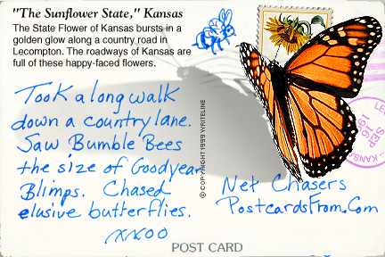 All images Copyright © 1997 - 2000 WriteLine. All Rights Reserved. Monarch butterfly