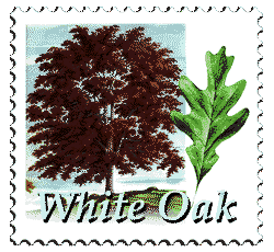 © 1997 WriteLine. White Oak