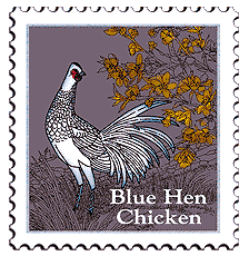 © 2000 WriteLine. Blue Hen Chicken