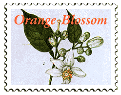 © 2000 WriteLine. Orange Blossom
