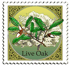 © 2000 WriteLine. Live Oak
