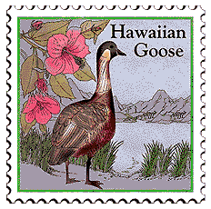 © 2000 WriteLine. Hawaiian Goose