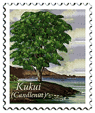 © 2000 WriteLine. Kukui Candlenut tree