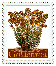 © 1999 WriteLine. Goldenrod