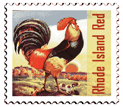 Please Return Carton Stamp - Rhode Island Red with Florals