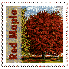 Please Return Carton Stamp - Rhode Island Red with Florals