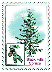 Copyright © 1998 WriteLine. All Rights Reserved. Spruce tree stamp