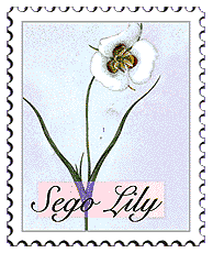 Copyright © 1998 WriteLine. All Rights Reserved. Sego Lily