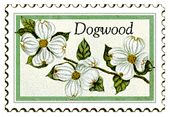 © 2000 WriteLine. Dogwood flower